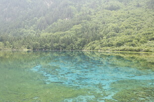 山间碧绿清澈的美丽湖水