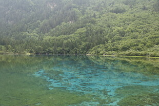 青山绿水间的幽美湖泊