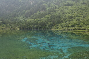 翠绿山林间的幽蓝湖水