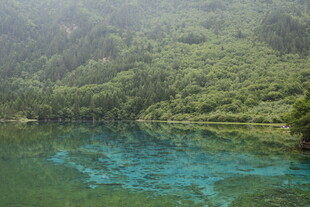 翠绿山林间的幽蓝湖水