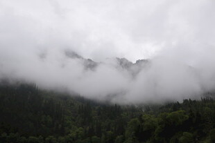 云雾缭绕的山林美景