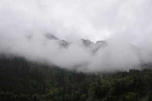 云雾缭绕的山林美景