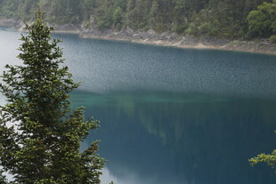 湖畔青松 澄澈幽蓝湖水