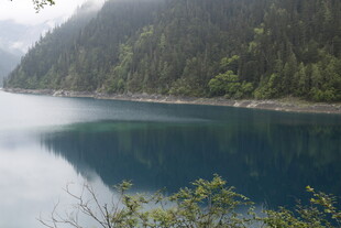 宁静湖景与葱郁山林