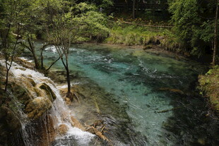 山间清澈溪流美景