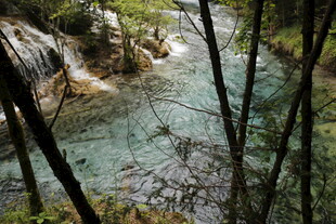 山间溪流 林木环绕之景