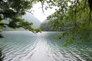 湖畔绿荫 山水相映之景