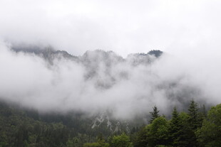 云雾缭绕的山林美景