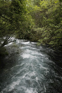 山间溪流潺潺