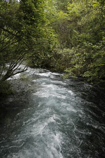 山间湍急溪流穿林而过
