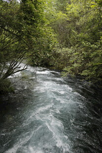 山间湍急溪流 绿意环绕