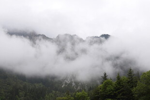 云雾缭绕的山间森林景观