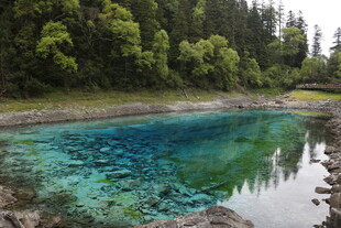 清澈蓝绿湖水映山林