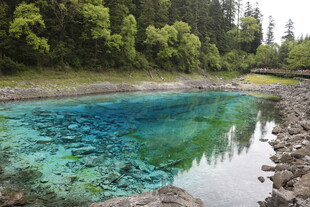 清澈蓝湖映山林美景