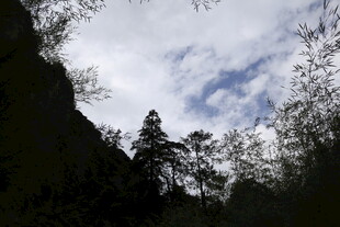 山间树木与蓝天白云景致