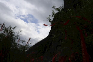 山间景色与空中飞鸟