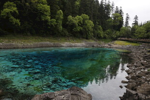 清澈蓝湖与葱郁森林美景