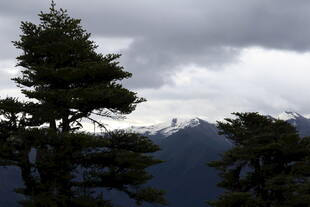 云雾中的山林与远山