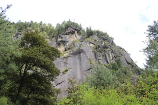 陡峭山壁旁的葱郁植被