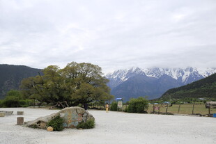 雪山下的开阔自然景观
