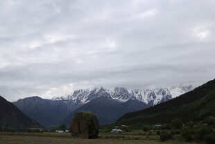 雪山下的广袤原野风光
