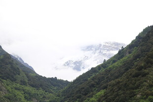 青山幽谷 云雾缭绕之景