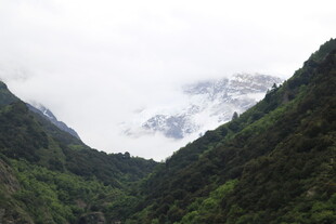 云雾缭绕的山间翠绿景色