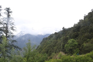 山间绿意盎然的秀丽景致