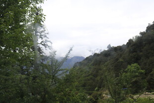 山间绿意盎然的自然景致