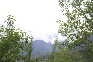 山林绿意 远处山峦隐现