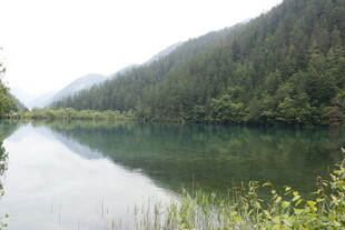 山间静谧湖景 绿意盎然