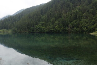 静谧山林间的清澈湖水