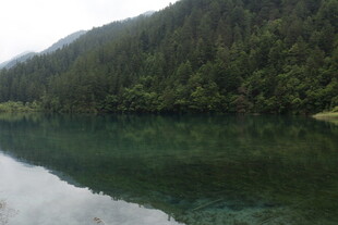 静谧山林中的清澈湖水