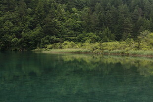 静谧山林中的澄澈湖水