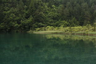 静谧山林间的碧绿湖水