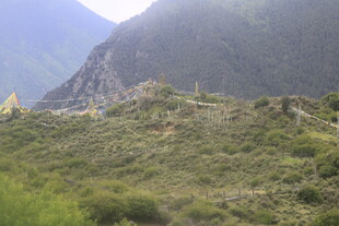 山间绿意盎然的自然景致