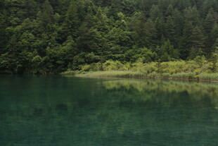 静谧山林间的碧绿湖水