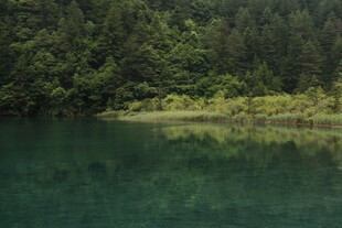 静谧山林间的清澈湖水