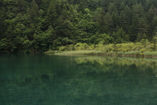 静谧山林间的碧绿湖水