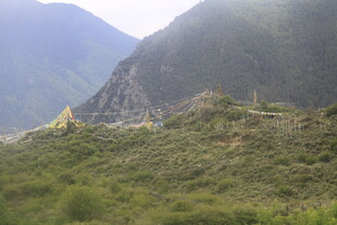 山间绿意盎然的景致