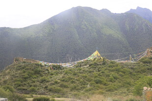 山间建筑隐于葱郁植被间