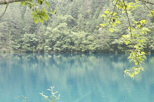 蓝湖翠树的自然美景