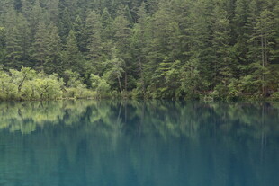 静谧山林中的幽蓝湖水