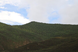 青山葱郁 蓝天相伴