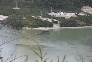 海岸风光 绿植环绕水域