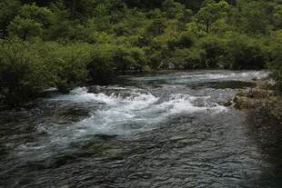 山间溪流 灵动自然之景