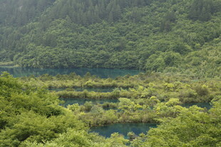 山间翠绿湖泊美景