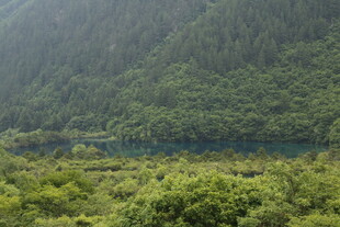 青山绿水间的葱郁景致