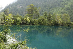 九寨沟的幽美碧绿湖水