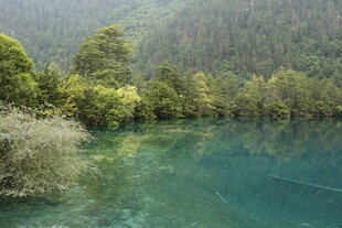 梦幻蓝湖旁的葱郁山林